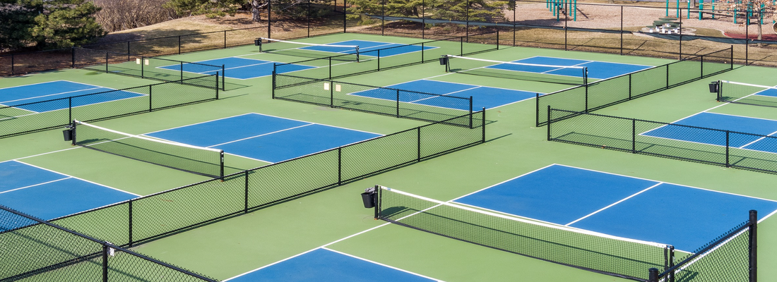 Themed Pickleball Venues: Inside the Disneyland-Style Courts Transforming Player Experience
