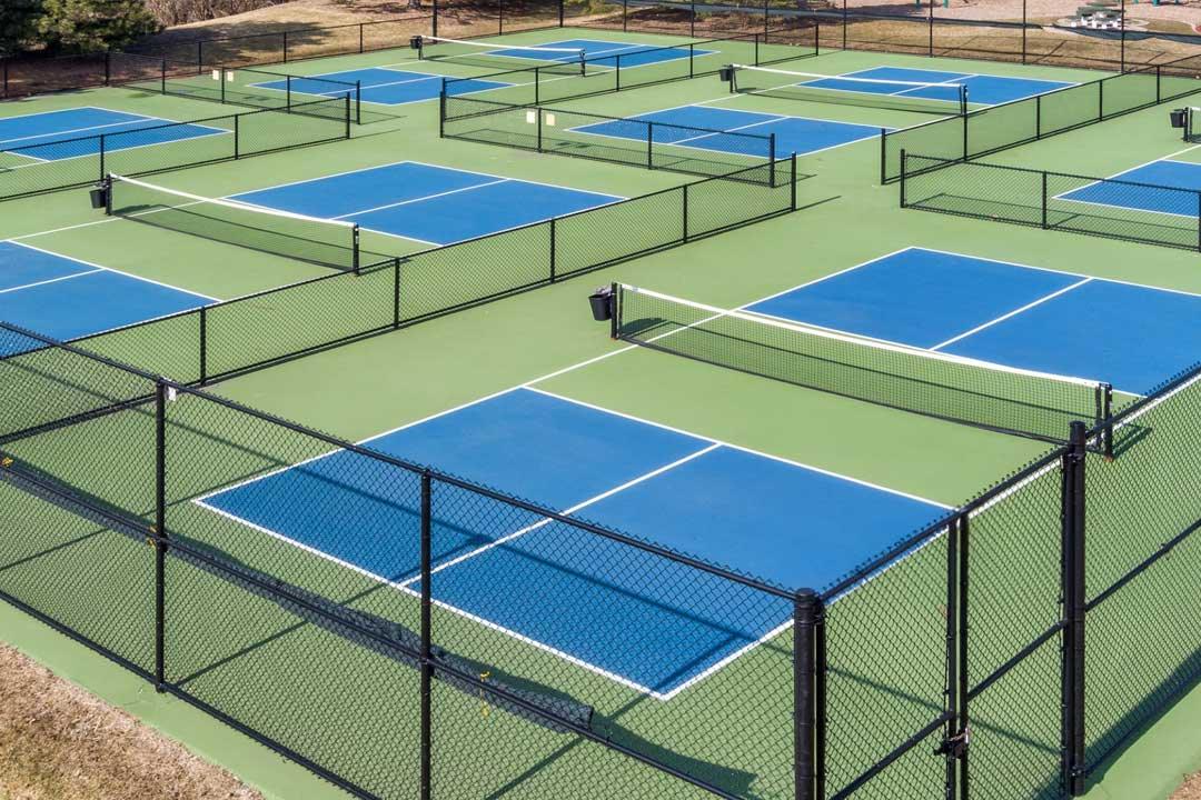 How Pickleball Sport is Taking Over the Courts