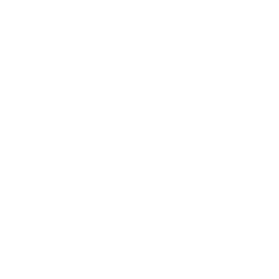 White logo on a light gray background featuring the bold letters NPL. To the left of the text is a stylized ball with several small holes, suggesting a floorball, partially encircling the N in NPL.